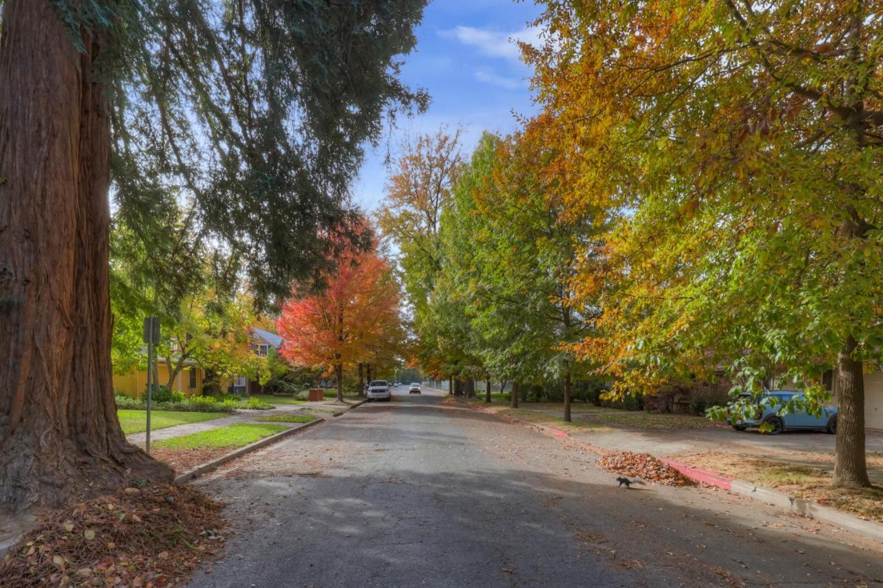 Appartement New Tudor One Block From State And Downtown With Private Garage